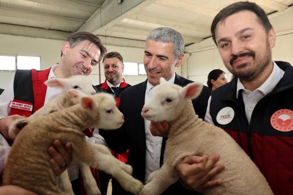 Afyonkarahisar'da Tarım ve Hayvancılık Yatırımları İstihdam Saçıyor