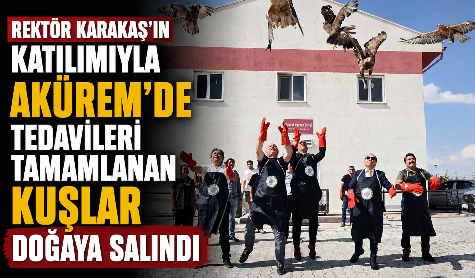 Rektör Karakaş’ın Katılımıyla AKÜREM’de Tedavileri Tamamlanan Kuşlar Doğaya Salındı